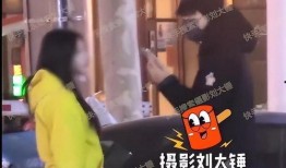 刘大锤爆料合集视频大全,揭秘娱乐圈幕后真相